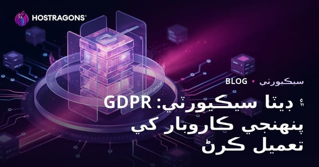 GDPR ۽ ڊيٽا سيڪيورٽي: پنهنجي ڪاروبار کي تعميل ڪرڻ
