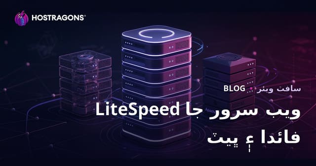 LiteSpeed ويب سرور جا فائدا ۽ Apache/Nginx جو مقابلو – سنڌي ويب هوسٽنگ لاءِ بهتر چونڊ