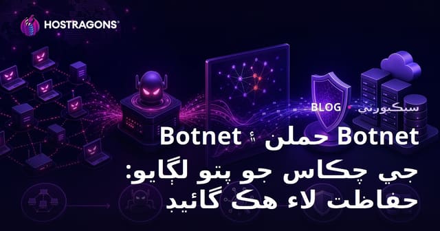 Botnet حملن ۽ Botnet جي چڪاس جو پتو لڳايو: حفاظت لاء هڪ گائيڊ