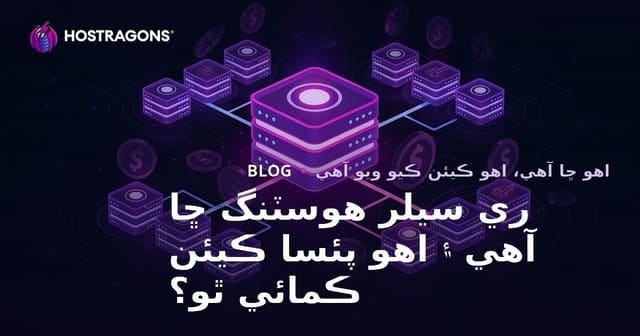 ري سيلر هوسٽنگ ڇا آهي ۽ اهو پئسا ڪيئن ڪمائي ٿو؟