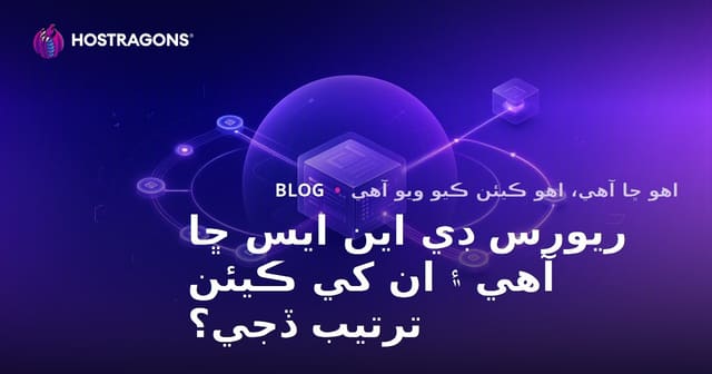 ريورس ڊي اين ايس ڇا آهي ۽ ان کي ڪيئن ترتيب ڏجي؟