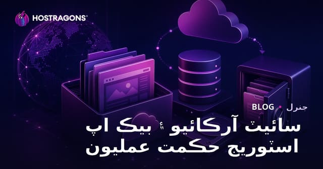 سائيٽ آرڪائيو ۽ بيڪ اپ اسٽوريج حڪمت عمليون
