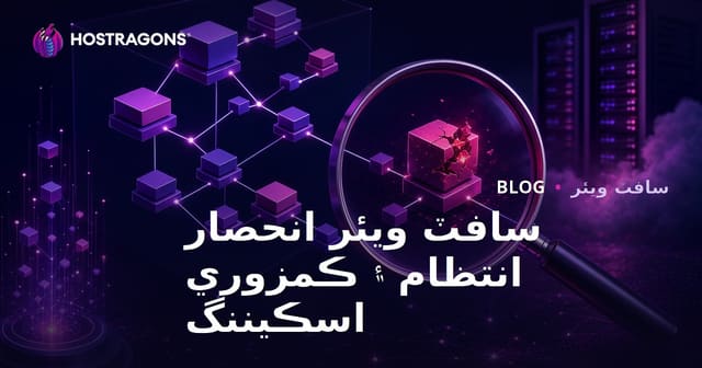 سافٽ ويئر انحصار انتظام ۽ ڪمزوري اسڪيننگ