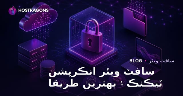سافٽ ويئر انڪرپشن ٽيڪنڪ ۽ بهترين طريقا