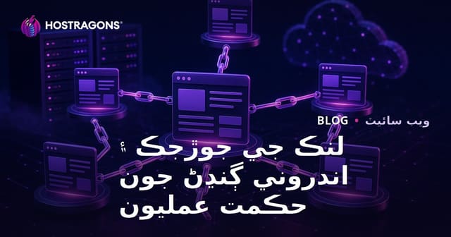 لنڪ جي جوڙجڪ ۽ اندروني ڳنڍڻ جون حڪمت عمليون
