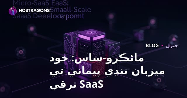 مائڪرو-ساس: خود ميزبان ننڍي پيماني تي SaaS ترقي