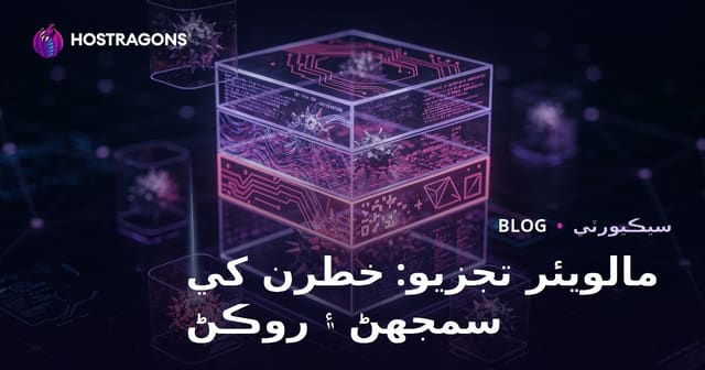 مالويئر تجزيو: خطرن کي سمجهڻ ۽ روڪڻ