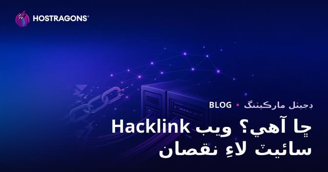 هيڪ لنڪ ڇا آهي؟ ويب سائيٽ تي غير قانوني SEO ٽيڪنيڪن جا وڏا نقصان