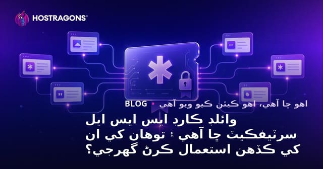 وائلڊ ڪارڊ ايس ايس ايل سرٽيفڪيٽ ڇا آهي ۽ توهان کي ان کي ڪڏهن استعمال ڪرڻ گهرجي؟