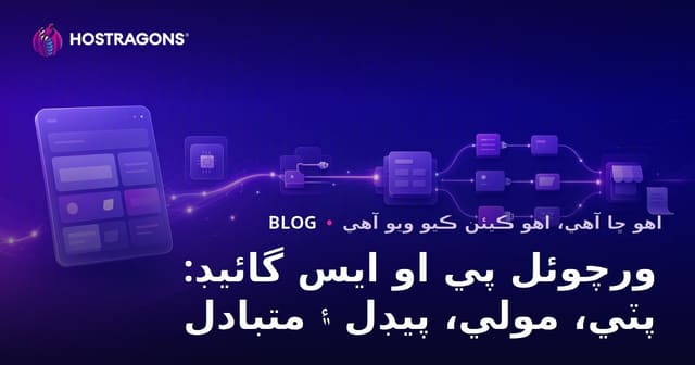 ورچوئل پي او ايس گائيڊ: پٽي، مولي، پيڊل ۽ متبادل