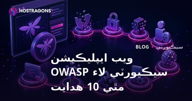 ويب ايپليڪيشن سيڪيورٽي لاء OWASP مٿي 10 هدايت
