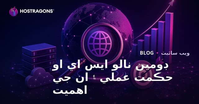 ڊومين نالو ايس اي او حڪمت عملي ۽ ان جي اهميت