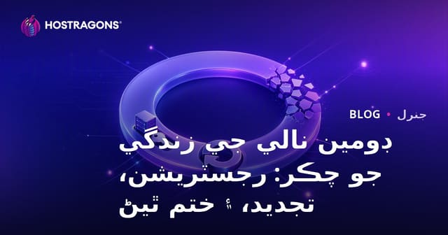 ڊومين نالي جي زندگي جو چڪر: رجسٽريشن، تجديد، ۽ ختم ٿيڻ