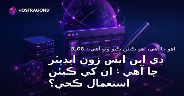 ڊي اين ايس زون ايڊيٽر ڇا آهي ۽ ان کي ڪيئن استعمال ڪجي؟