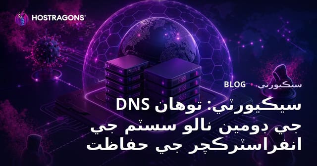 DNS سيڪيورٽي: توهان جي ڊومين نالو سسٽم جي انفراسٽرڪچر جي حفاظت