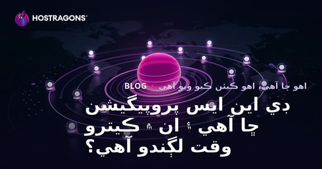ڊي اين ايس پروپيگيشن ڇا آهي ۽ ان ۾ ڪيترو وقت لڳندو آهي؟