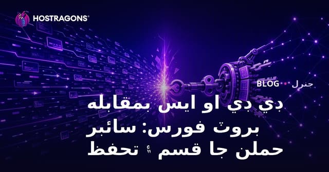 ڊي ڊي او ايس بمقابله بروٽ فورس: سائبر حملن جا قسم ۽ تحفظ