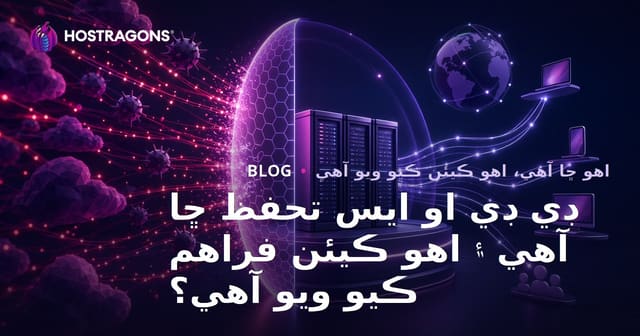 ڊي ڊي او ايس تحفظ ڇا آهي ۽ اهو ڪيئن فراهم ڪيو ويو آهي؟
