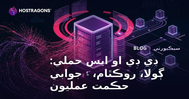 ڊي ڊي او ايس حملي: ڳولا، روڪٿام، ۽ جوابي حڪمت عمليون