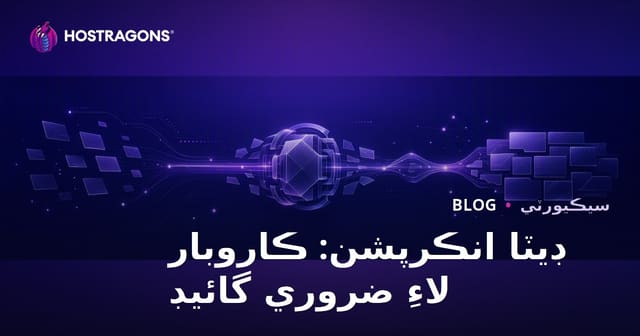 ڊيٽا انڪرپشن: ڪاروبار لاءِ ضروري گائيڊ