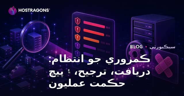 ڪمزوري جو انتظام: دريافت، ترجيح، ۽ پيچ حڪمت عمليون