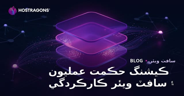 ڪيشنگ حڪمت عمليون ۽ سافٽ ويئر ڪارڪردگي