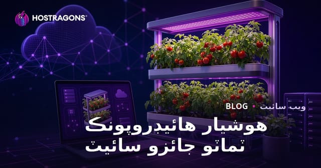 صرف گهر ۾ سمارٽ هائيڊروپونڪ ٽماٽي جي پوک ڪرڻ تي جائزو ويب سائيٽ قائم ڪرڻ جي رهنمائي