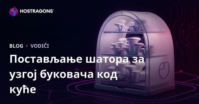 Упутство за постављање шатора за узгајање острига код куће: корак по корак