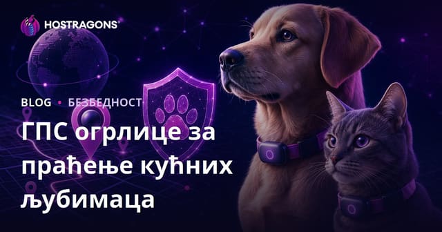 Безбедносни блог који упоређује само GPS огрлице за праћење љубимаца – независни водич 2026