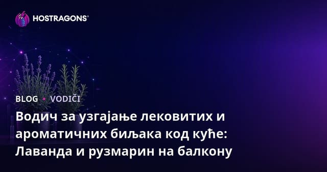 Водич за узгајање лековитих и ароматичних биљака код куће: Лаванда и рузмарин на балкону