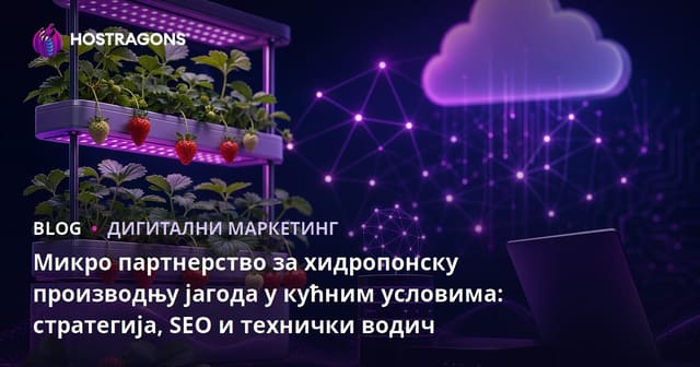 Микро партнерство за хидропонску производњу јагода у кућним условима: стратегија, SEO и технички водич