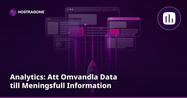 Analytics: Att Omvandla Data till Meningsfull Information