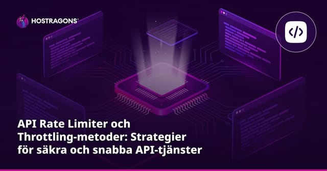 API Rate Limiter och Throttling-metoder: Strategier för säkra och snabba API-tjänster