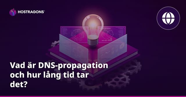 Vad är DNS-propagation och hur lång tid tar det?