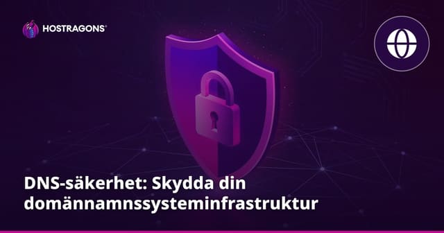 DNS-säkerhet: Skydda din domännamnssysteminfrastruktur