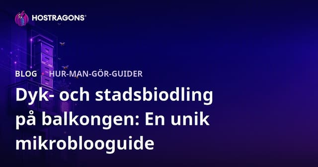 Dyk- och stadsbiodling på balkongen: En unik mikroblooguide