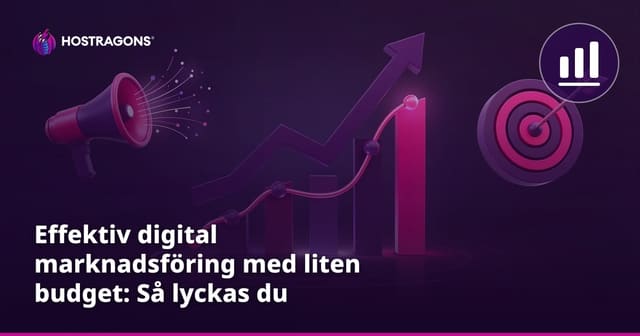 Effektiv digital marknadsföring med liten budget: Så lyckas du