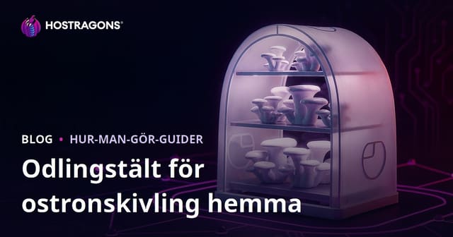 Installation av odlingstält för ostronskivling hemma: Steg-för-steg guide