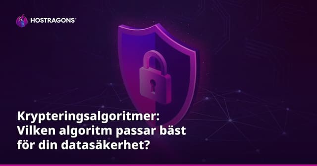 Krypteringsalgoritmer: Vilken algoritm passar bäst för din datasäkerhet?