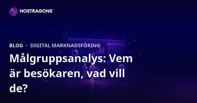 Målgruppsanalys: Vem besöker din webbplats och vad vill de ha?