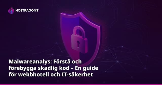 Malwareanalys: Förstå och förebygga skadlig kod – En guide för webbhotell och IT-säkerhet