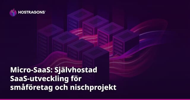 Micro-SaaS: Självhostad SaaS-utveckling för småföretag och nischprojekt