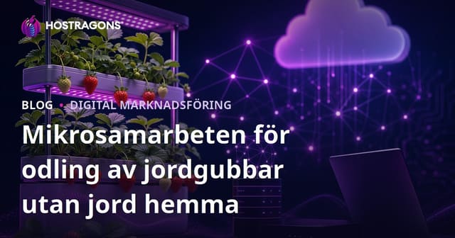 Mikrosamarbeten för odling av jordgubbar utan jord hemma