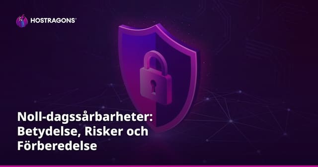 Noll-dagssårbarheter: Betydelse, Risker och Förberedelse