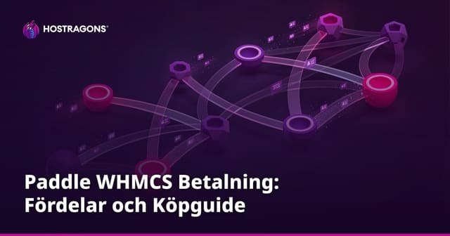 Paddle WHMCS Betalning: Fördelar och Köpguide