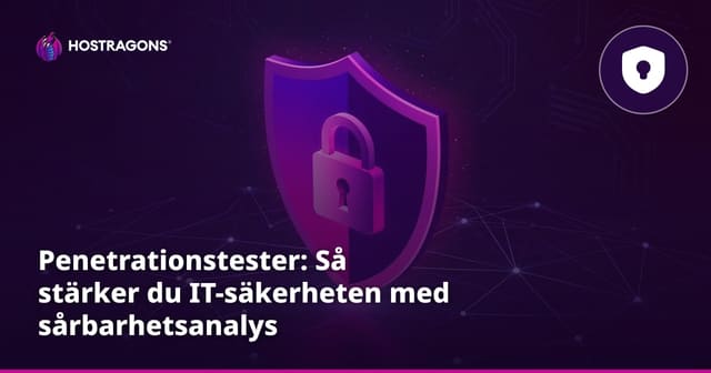 Penetrationstester: Så stärker du IT-säkerheten med sårbarhetsanalys
