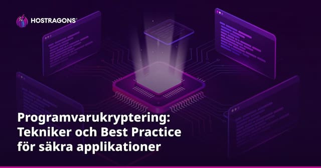 Programvarukryptering: Tekniker och Best Practice för säkra applikationer