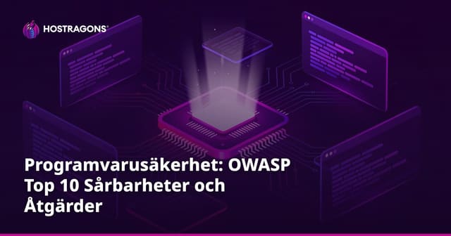 Programvarusäkerhet: OWASP Top 10 Sårbarheter och Åtgärder