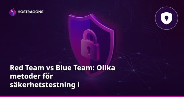 Red Team vs Blue Team: Olika metoder för säkerhetstestning i IT-miljöer