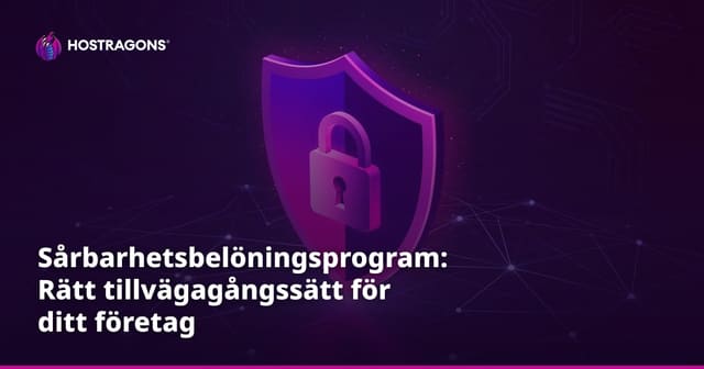Sårbarhetsbelöningsprogram: Rätt tillvägagångssätt för ditt företag